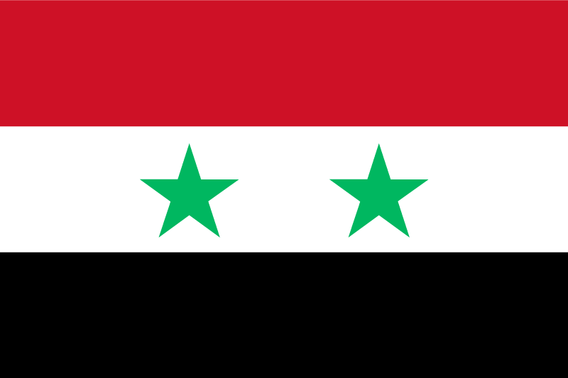 files/wegweiser-beruf/_inhalte/flaggen/syrien.png